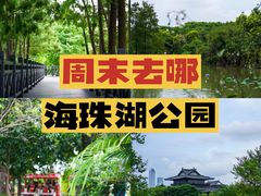 -海珠湖公园