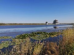 -呼兰河口湿地公园