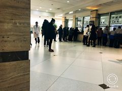 -上海中医药大学附属曙光医院(东部)