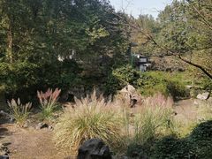 -九曜山