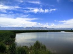 -哈素海
