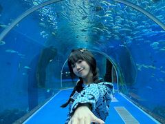 -波塞冬旅游度假区