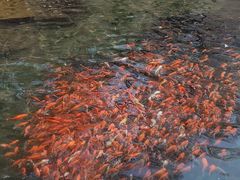 -水磨沟公园
