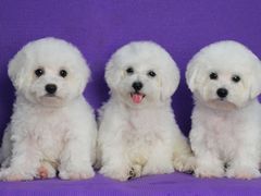 -阳光牧场自助餐厅(宝德购物中心店)