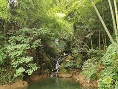 -藏龙百瀑风景区