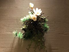 -锅物新语&寿喜烧.炉端割烹(世博源店)