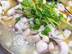 -大鼎石锅鱼(春江里店)