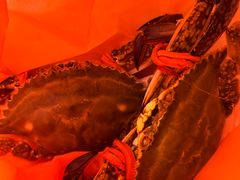 -鱼市酒店(威海水产批发市场店)