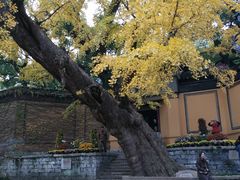 -无锡惠山寺