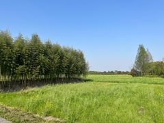 -良渚古城遗址公园
