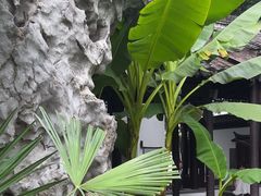 -南京市民俗博物馆(甘熙故居)