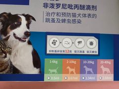 -御宝贝·A梦猫科宠物医院(国际猫友好医院)