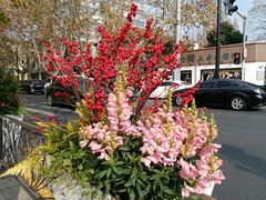 -常熟路(地铁站)