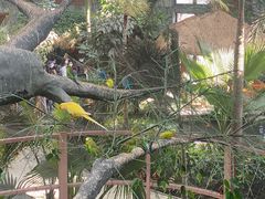 -南宫五洲植物乐园