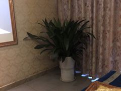 包房-都悦君豪足浴推拿(华府大道店)