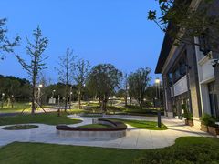 -铁山坪森林公园