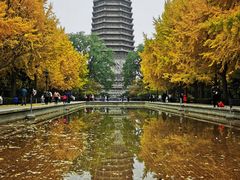 -玲珑塔公园