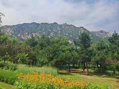 -北京凤凰岭