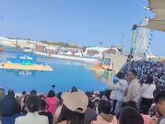 -秦皇岛乐岛海洋王国