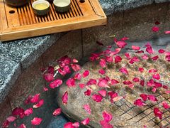 -徂徕山森林康养度假谷温泉
