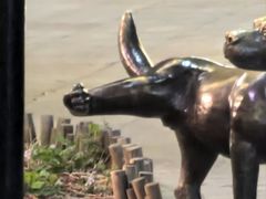 -中粮·祥云小镇