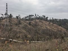 -青龙山国家森林公园