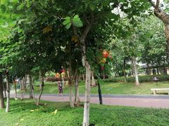 -映月湖公园
