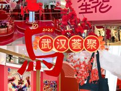 -武汉荟聚
