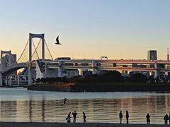 -台场海滨公园船码头