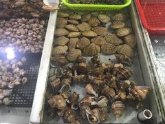 -大湾区中央湿地公园-十九涌