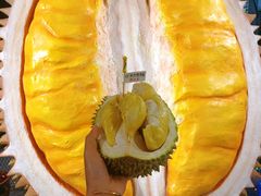 -都念榴莲·城市榴莲