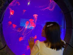 -波塞冬旅游度假区