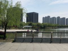 -南翔镇银翔湖公园
