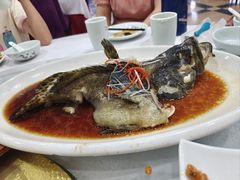 清蒸石斑鱼-兴福楼(通州店)