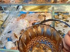 -加餐海鲜自助(集美银泰百货店)