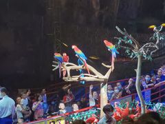 -广州长隆国际大马戏