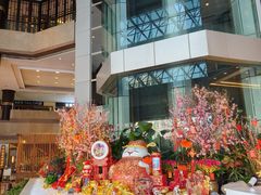 -上海新锦江大酒店