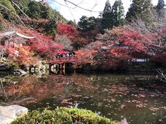 -醍醐寺