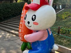 -杭州少年儿童公园