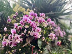 -上海辰山植物园