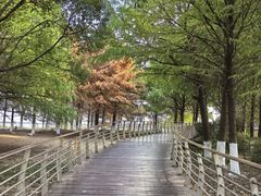 -江滩湿地公园