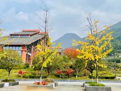 -武陵山森林公园