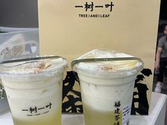 -一树一叶·福建茶档(石鼓路店)