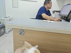 -全心全意连锁动物医院·微创中心·内科急重症·心脏专科(丰管路店)