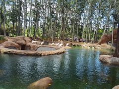 -北京野生动物园