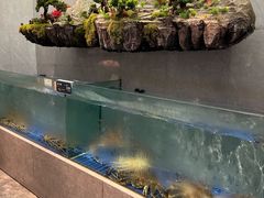 -外滩·云南人家(昆明旗舰店)