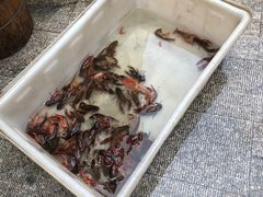 -旺山·浪头人家