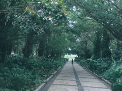 -南宁南湖公园