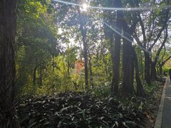 -云溪植物园