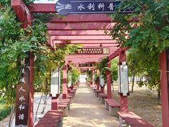 -花园口旅游区